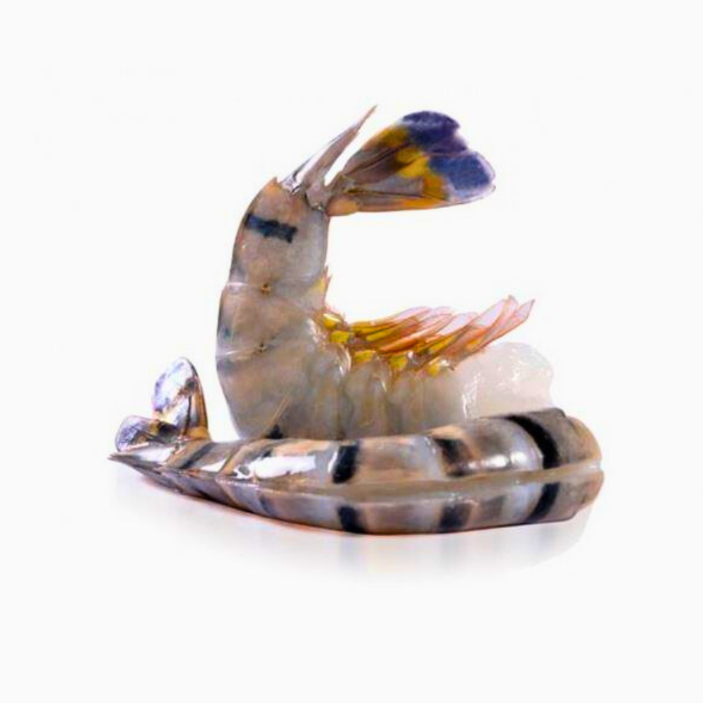 Kopie van Horecatoppers_template_productfoto (16)